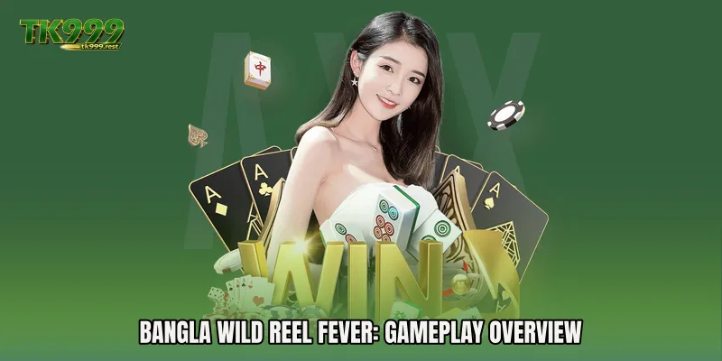 Bangla Wild Reel Fever: Gameplay Overview