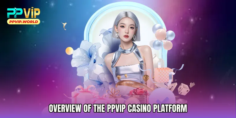 Overview of the PPVIP Casino Platform