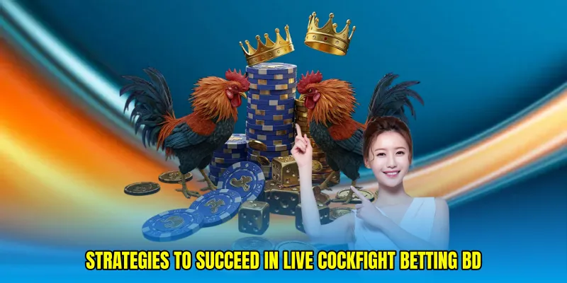 Strategies to succeed in Live cockfight betting BD